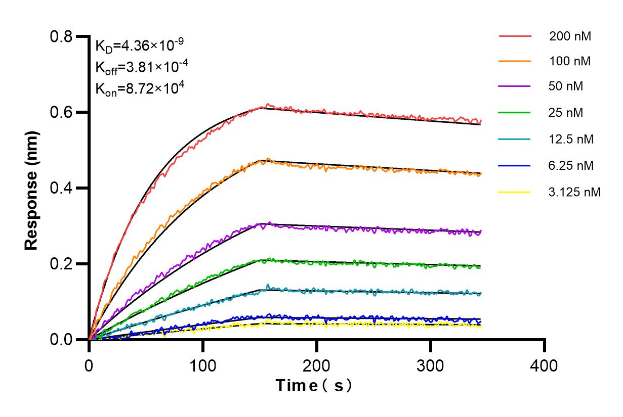 Biolayer interferometry (BLl) kinetic assays of 84390-1-PBS against Human IL-18R1 were performed. The affinity constant is 4.36 nM. Affinity and Kinetic Characterization of 84390-1-PBS