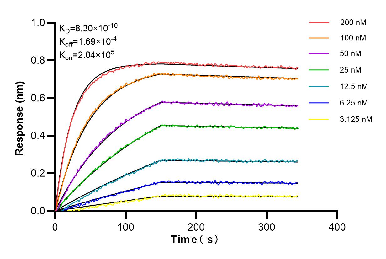 Affinity and Kinetic Characterization of 84390-3-PBS