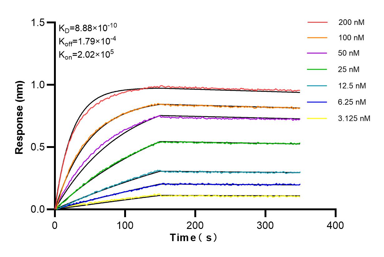 Affinity and Kinetic Characterization of 84390-7-PBS