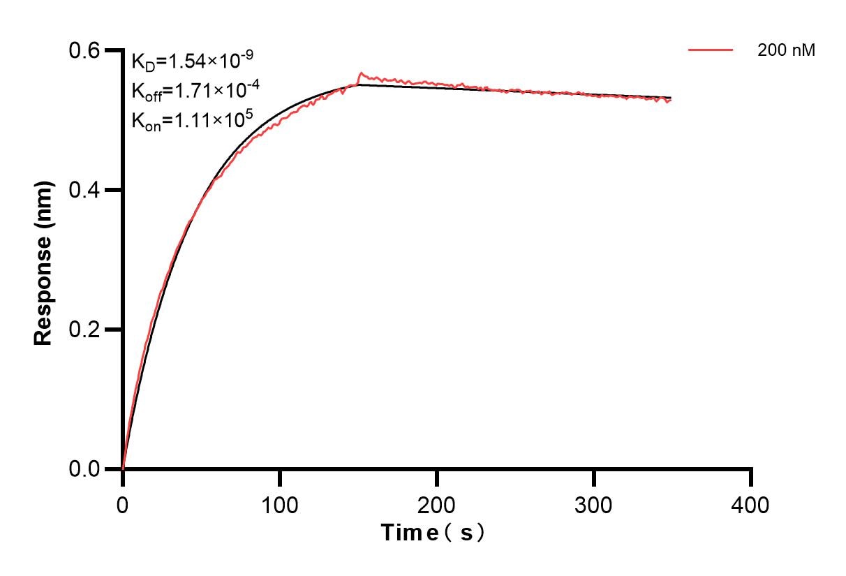 Affinity of 84406-1-PBS