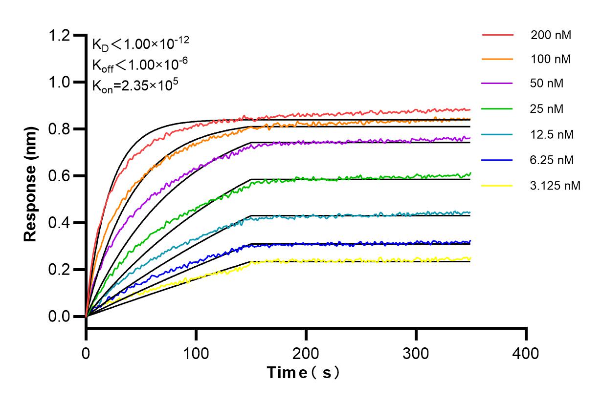 Affinity and Kinetic Characterization of 84409-4-RR
