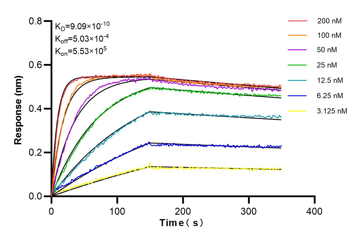 Affinity and Kinetic Characterization of 84410-3-RR