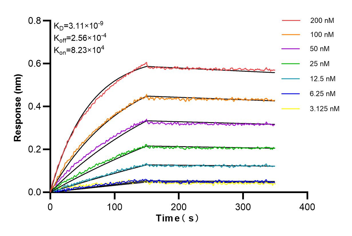Affinity and Kinetic Characterization of 84412-3-RR