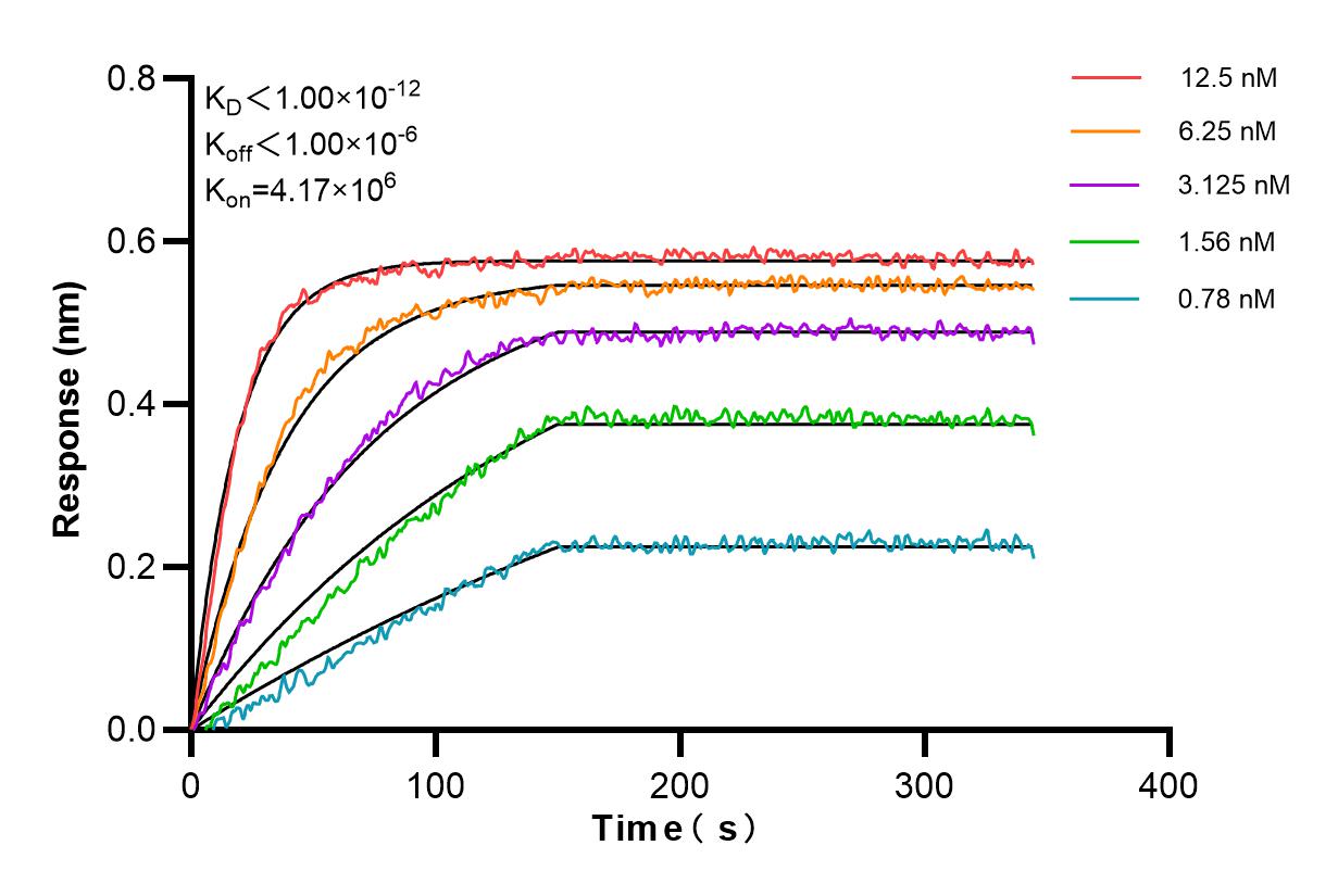 Affinity and Kinetic Characterization of 84414-1-PBS