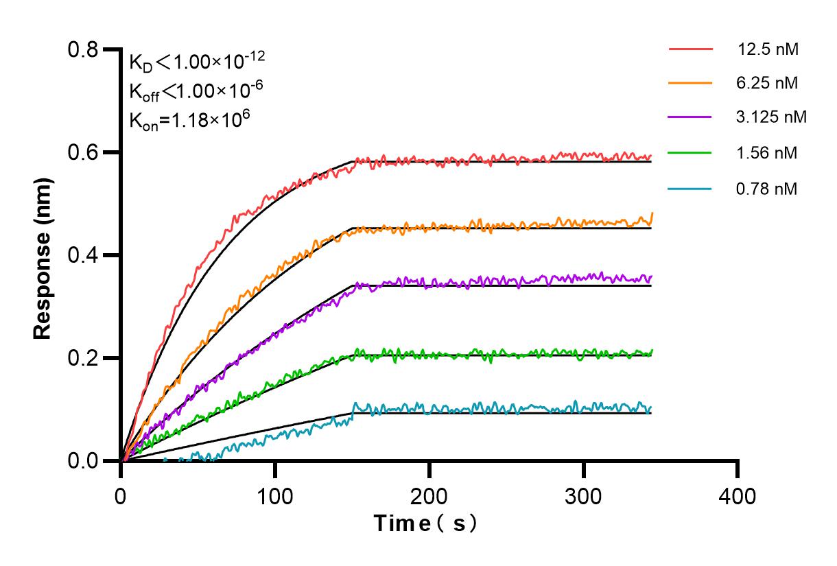 Affinity and Kinetic Characterization of 84414-4-PBS