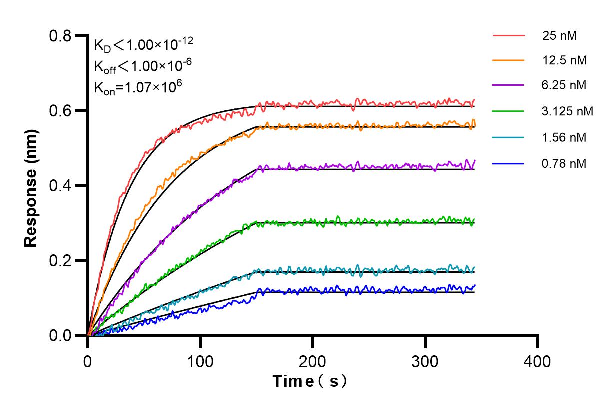 Affinity and Kinetic Characterization of 84414-7-PBS