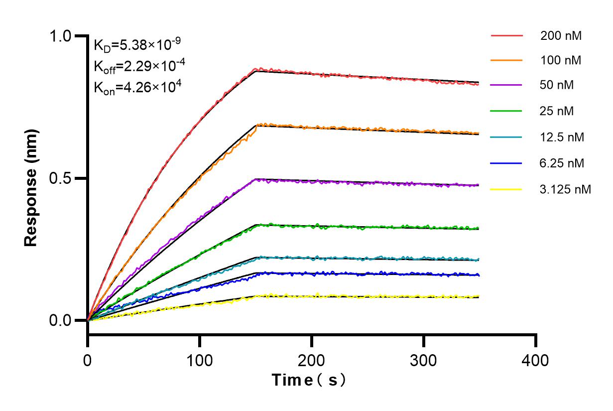 Affinity and Kinetic Characterization of 84417-5-RR
