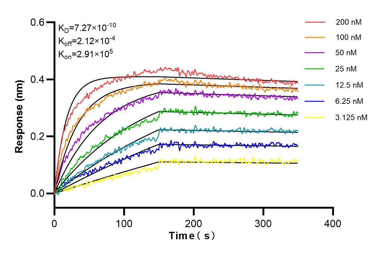 Affinity and Kinetic Characterization of 84421-1-RR