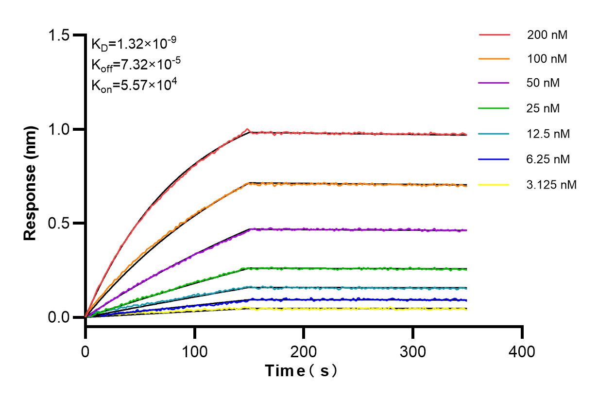 Affinity and Kinetic Characterization of 84424-1-RR