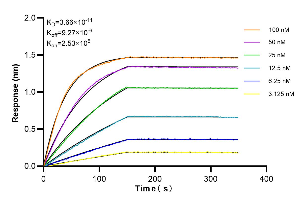 Affinity and Kinetic Characterization of 84424-4-RR