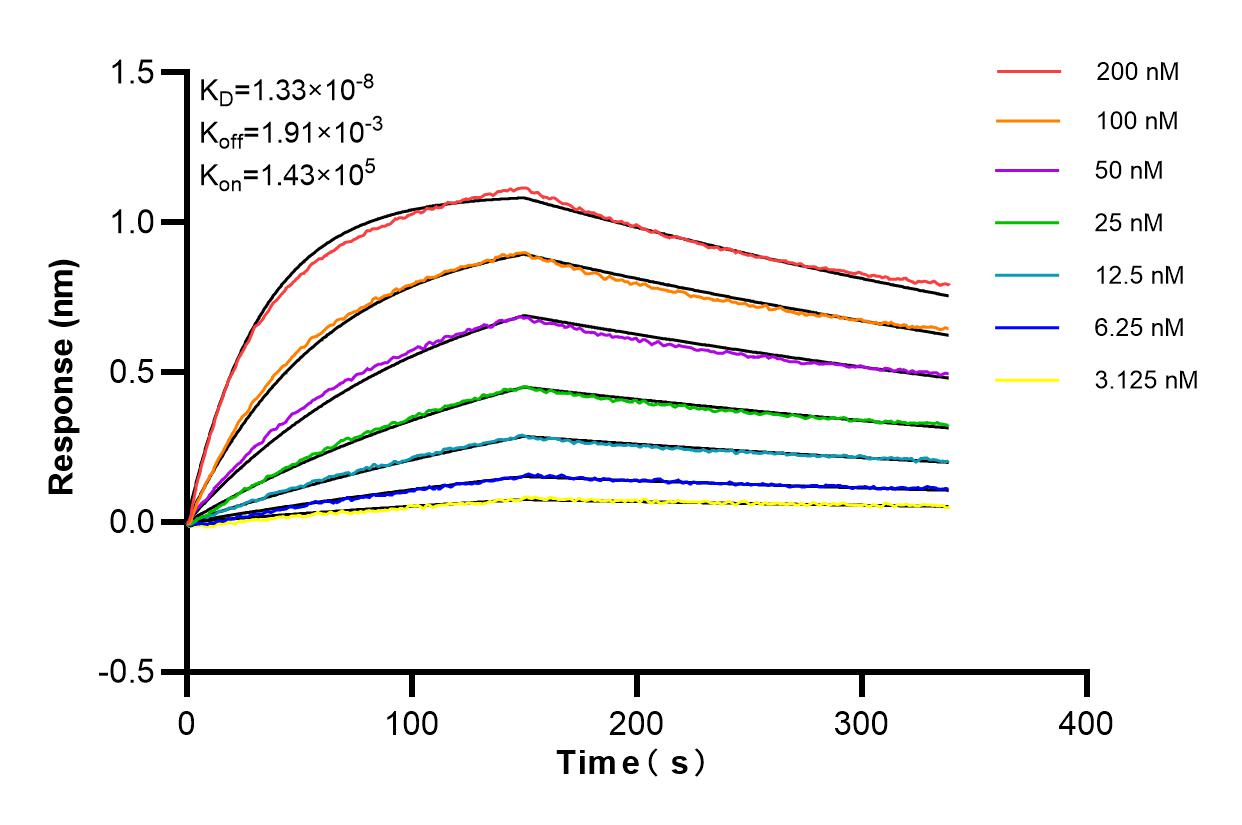 Affinity and Kinetic Characterization of 84463-2-RR