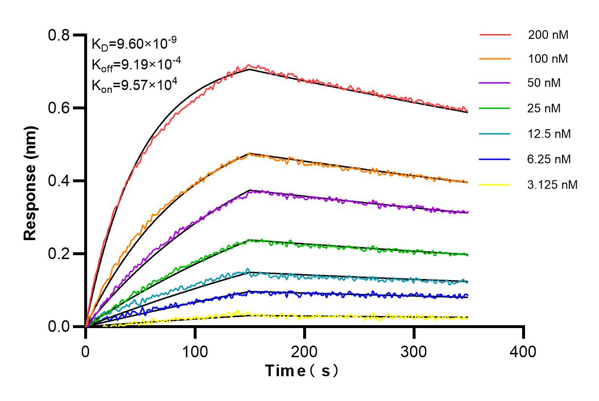 Affinity and Kinetic Characterization of 84464-2-PBS