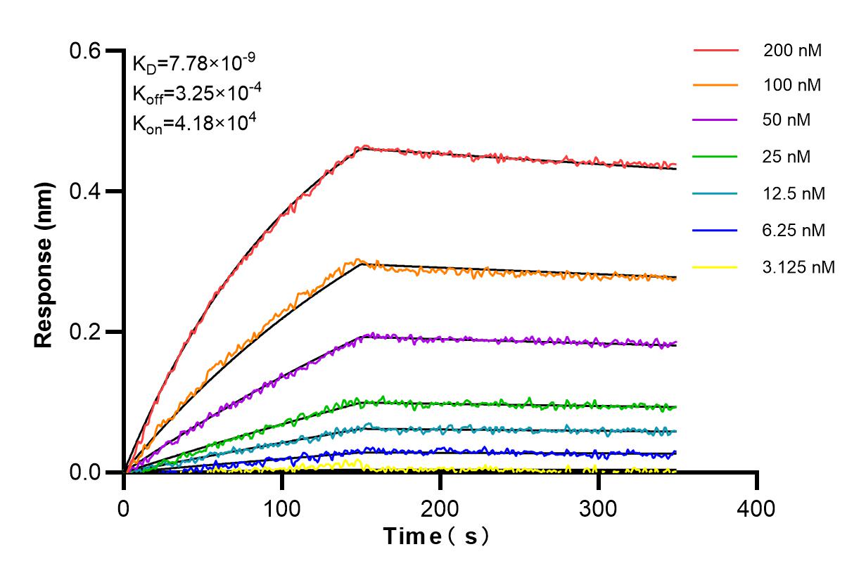 Affinity and Kinetic Characterization of 84464-5-PBS
