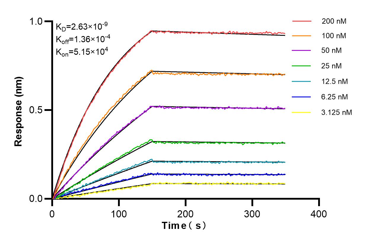 Affinity and Kinetic Characterization of 84465-9-RR