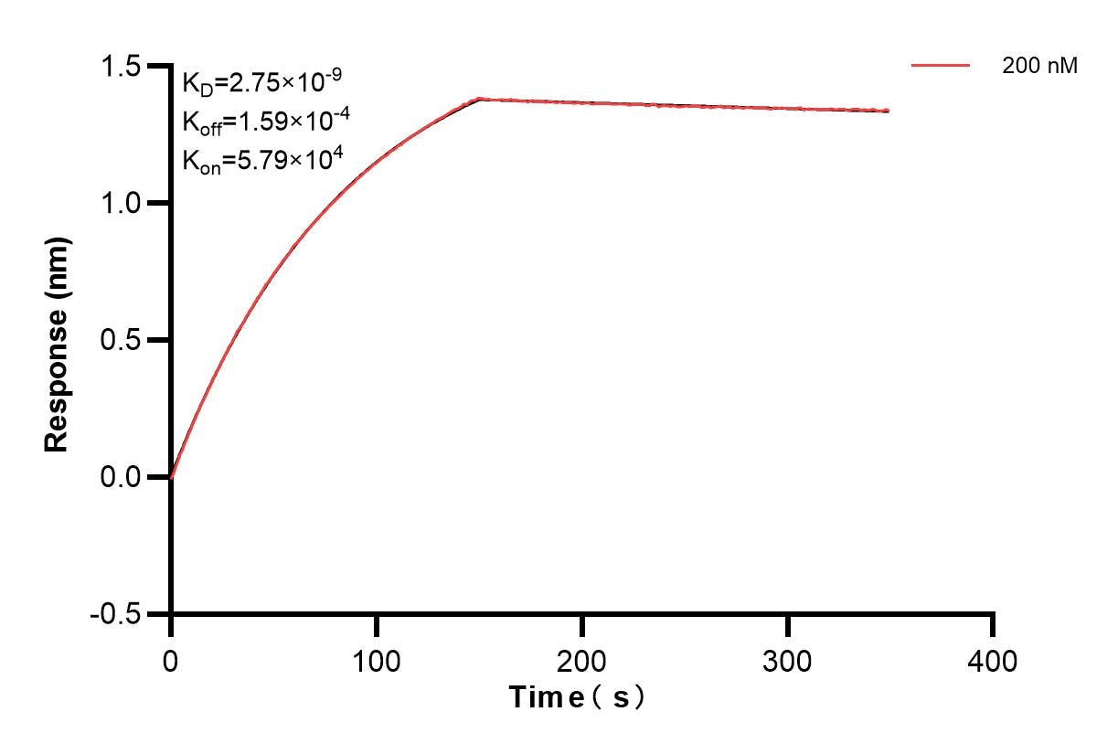 Biolayer interferometry (BLl) kinetic assay of 84471-4-PBS against Human DKK1 was performed. The affinity constant is 2.75 nM. Affinity of 84471-4-PBS