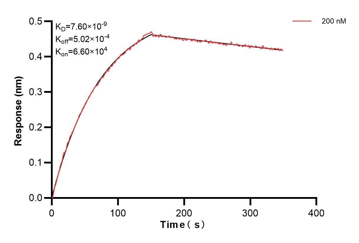 Affinity and Kinetic Characterization of 84476-1-PBS