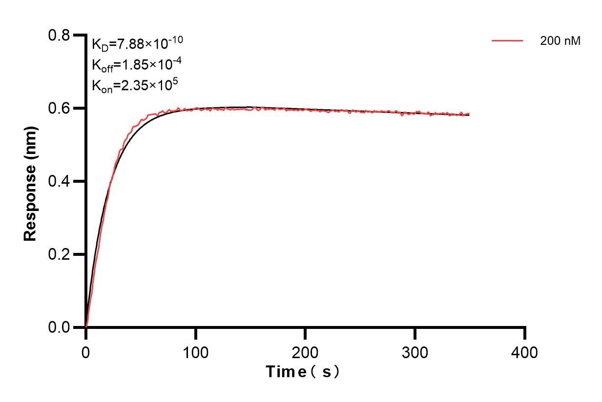 Affinity and Kinetic Characterization of 84476-2-PBS