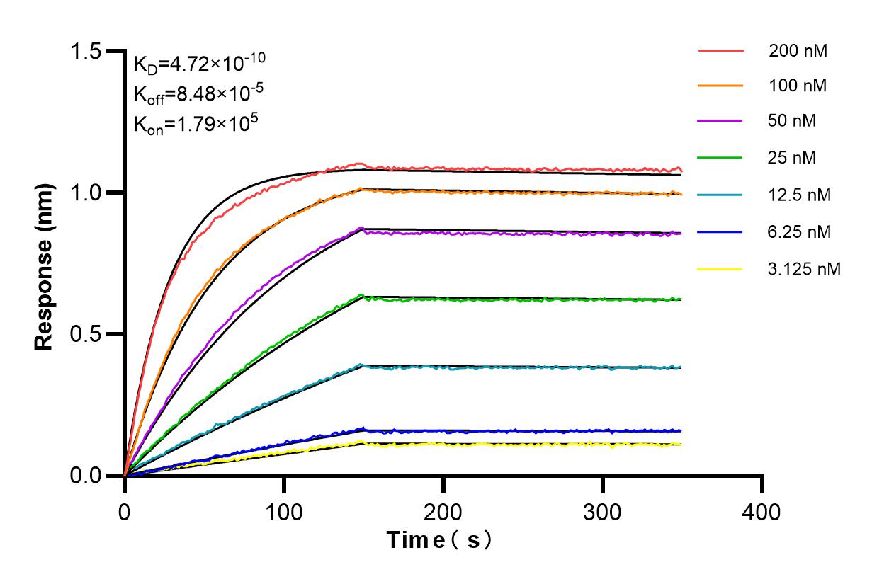 Affinity and Kinetic Characterization of 84476-6-RR
