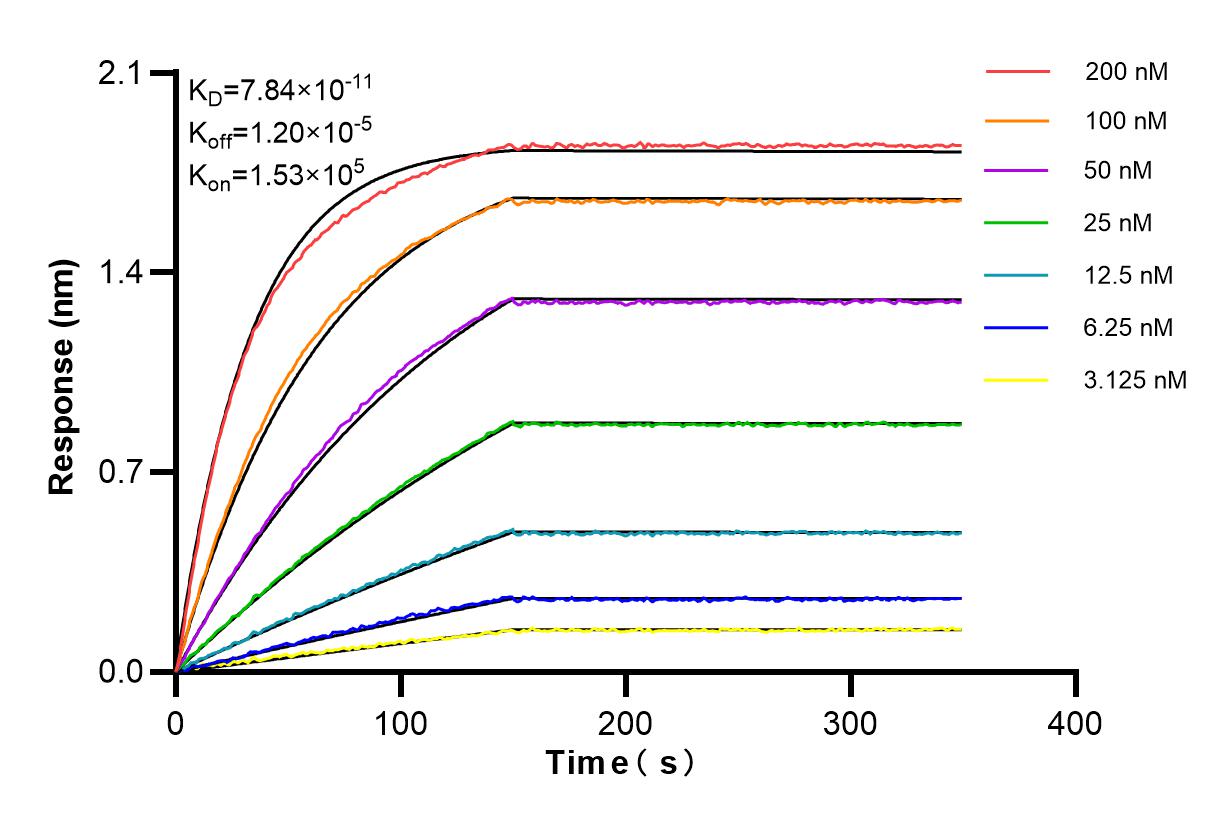 Affinity and Kinetic Characterization of 84482-4-RR