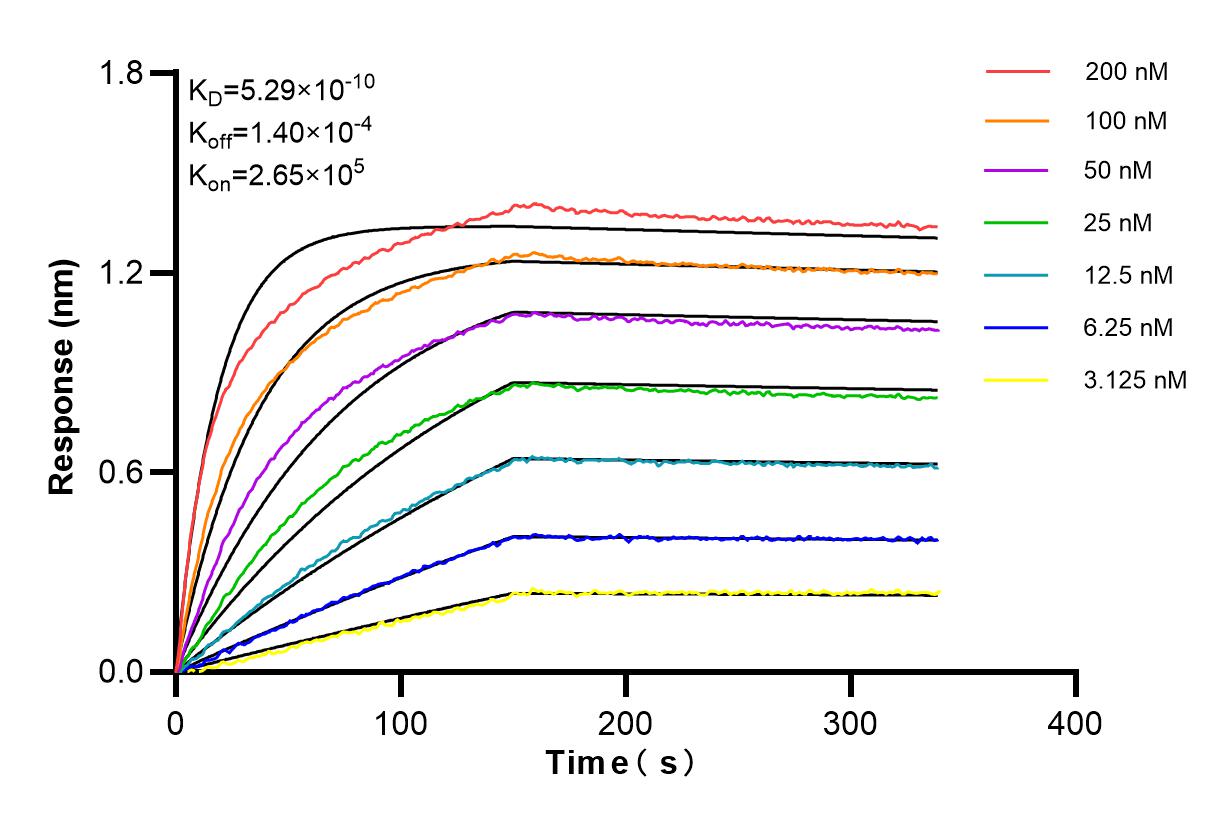 Affinity and Kinetic Characterization of 84491-6-RR