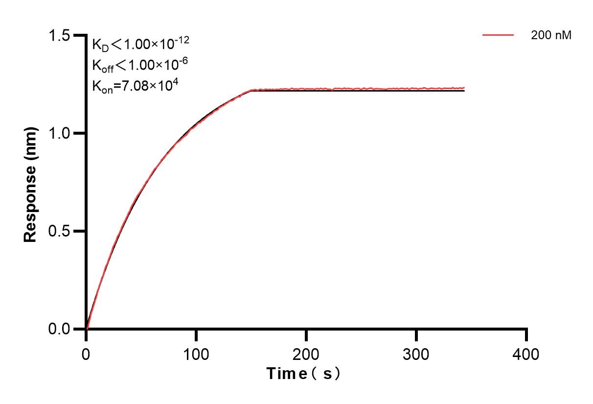 Affinity and Kinetic Characterization of 84493-1-PBS