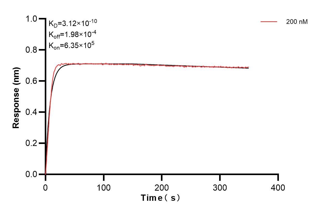 Affinity and Kinetic Characterization of 84495-2-PBS