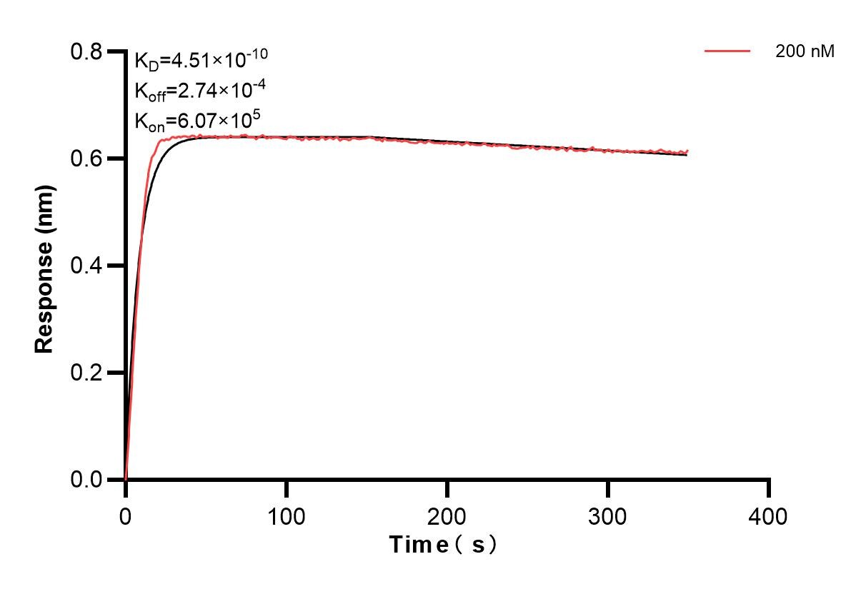 Affinity and Kinetic Characterization of 84495-4-PBS