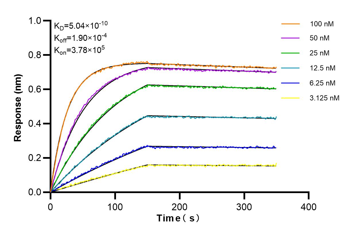 Affinity and Kinetic Characterization of 84496-1-PBS