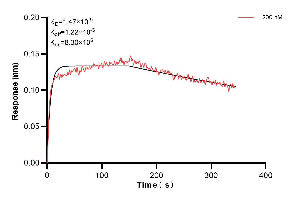 Affinity and Kinetic Characterization of 84497-1-PBS