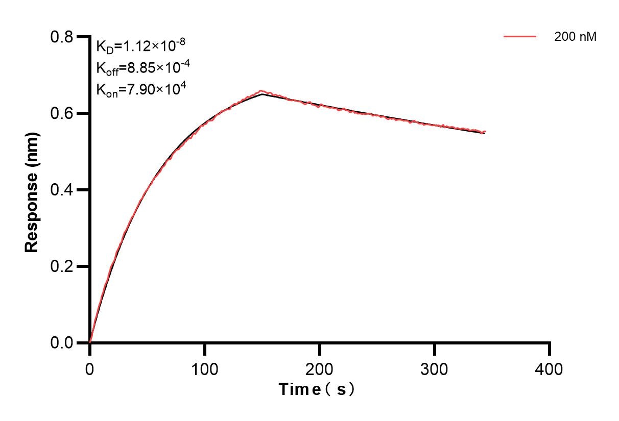 Biolayer interferometry (BLl) kinetic assay of 84507-3-PBS against Human CD63 were performed. The affinity constant is 11.2 nM. Affinity of 84507-3-PBS