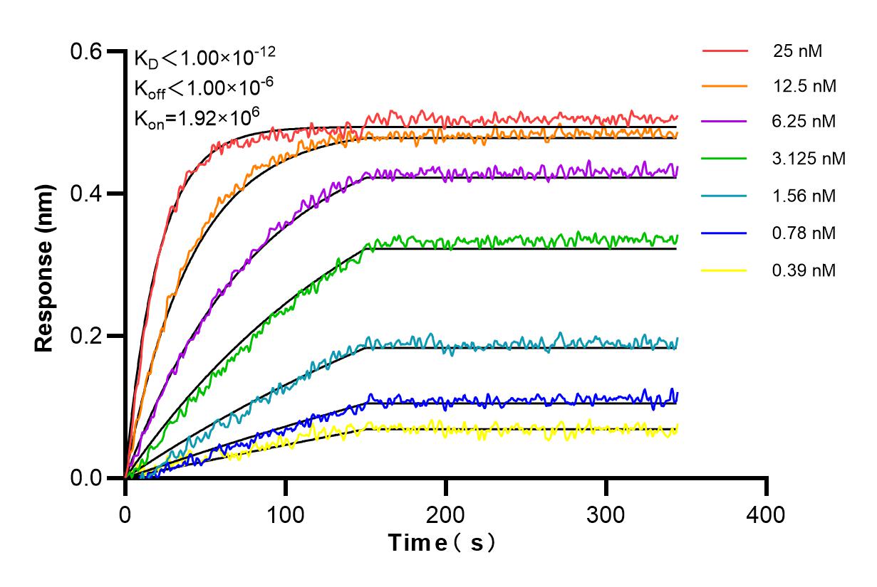 Affinity and Kinetic Characterization of 84508-1-PBS