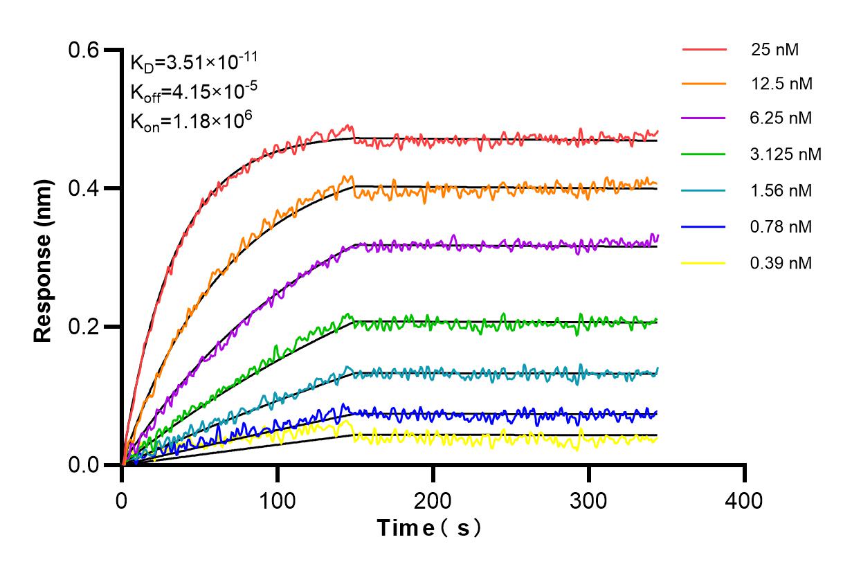 Affinity and Kinetic Characterization of 84508-2-PBS