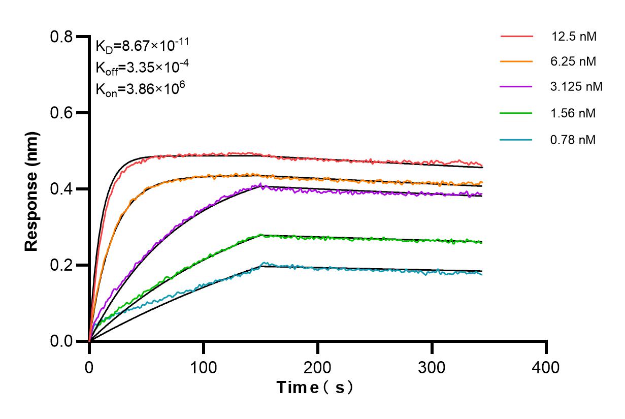 Affinity and Kinetic Characterization of 84508-3-PBS