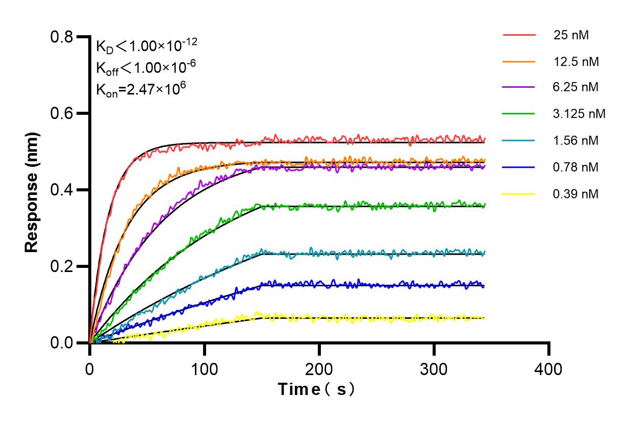 Affinity and Kinetic Characterization of 84508-4-PBS
