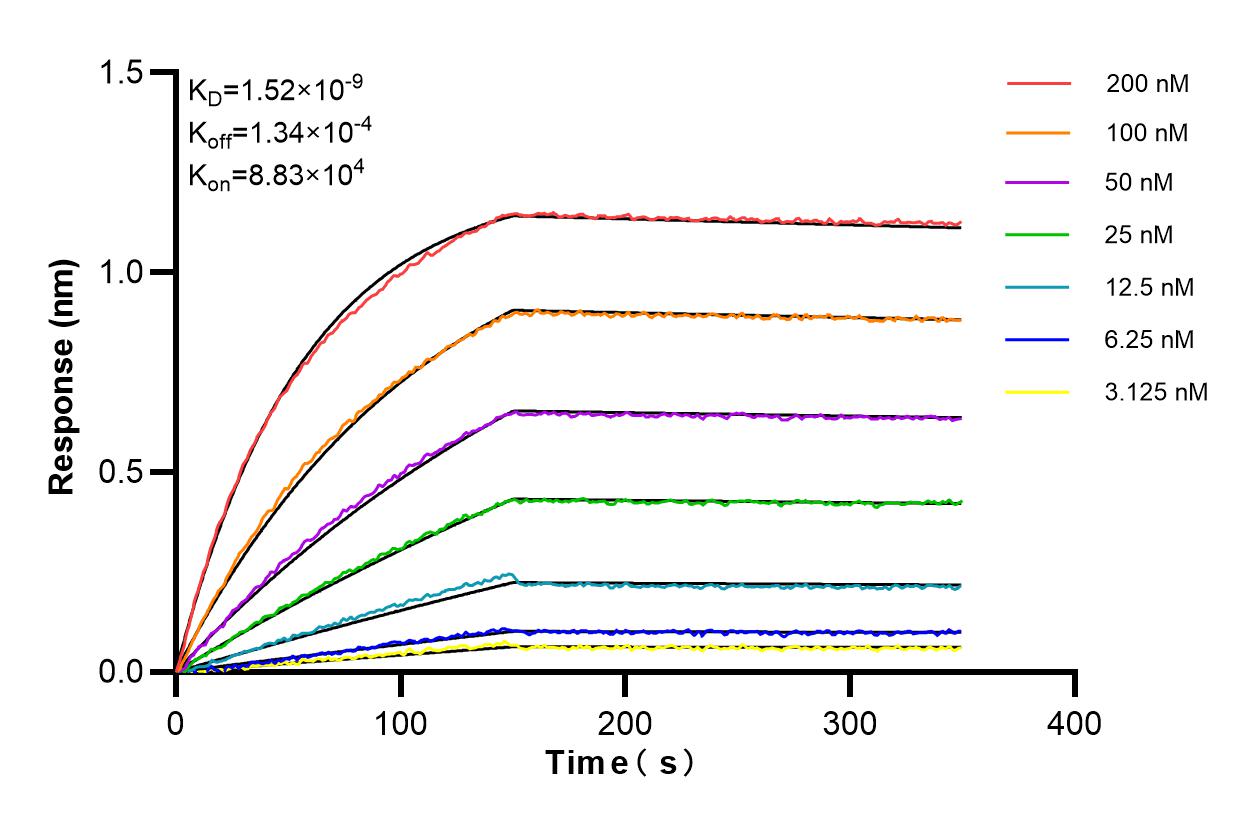 Affinity and Kinetic Characterization of 84516-6-RR