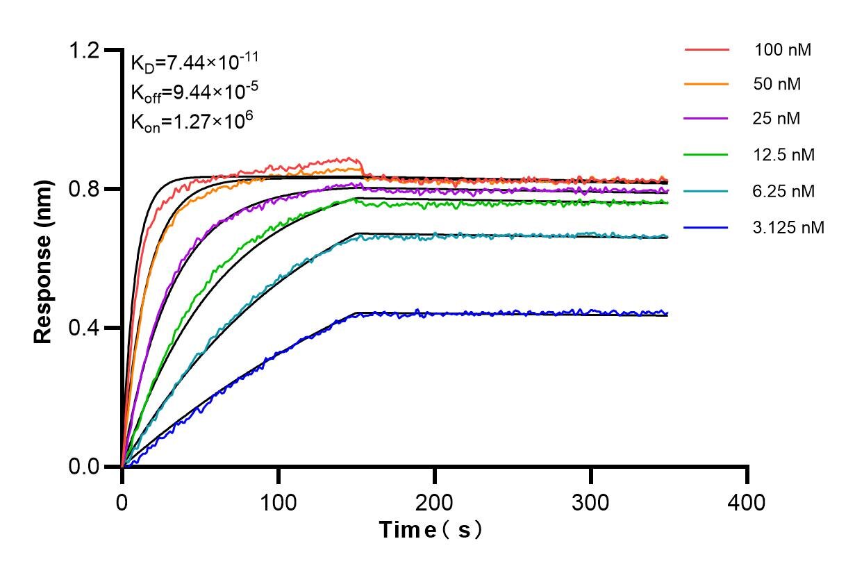 Affinity and Kinetic Characterization of 84518-2-RR