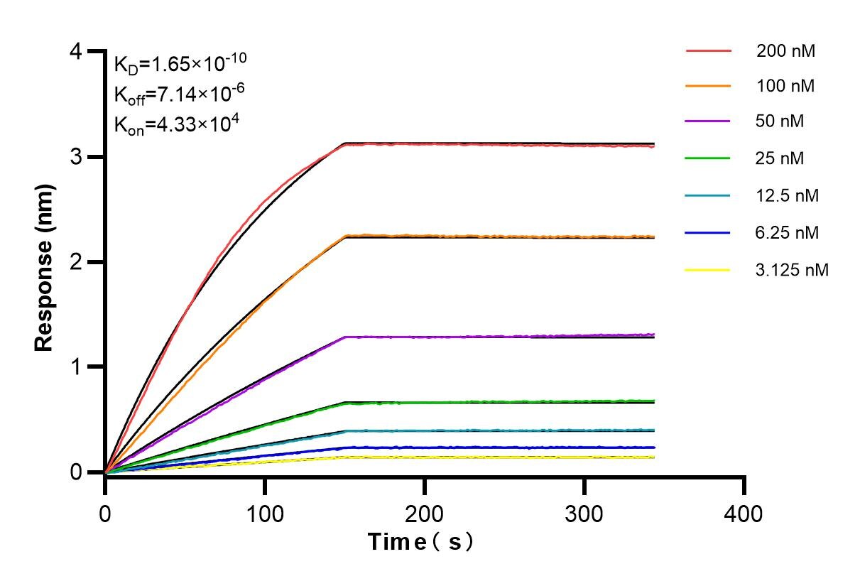 Affinity and Kinetic Characterization of 84522-1-RR