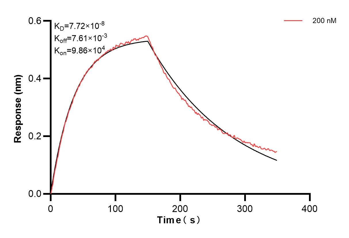 Affinity and Kinetic Characterization of 84533-2-PBS