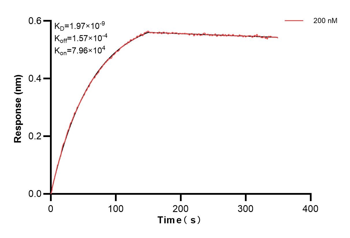 Affinity and Kinetic Characterization of 84533-3-PBS