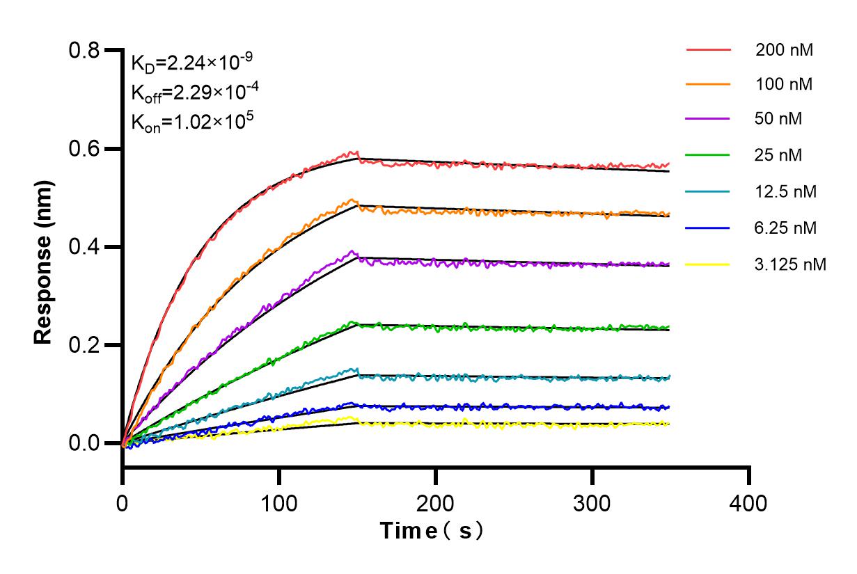 Affinity and Kinetic Characterization of 84534-6-RR