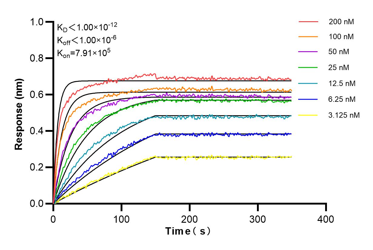 Affinity and Kinetic Characterization of 84535-2-RR