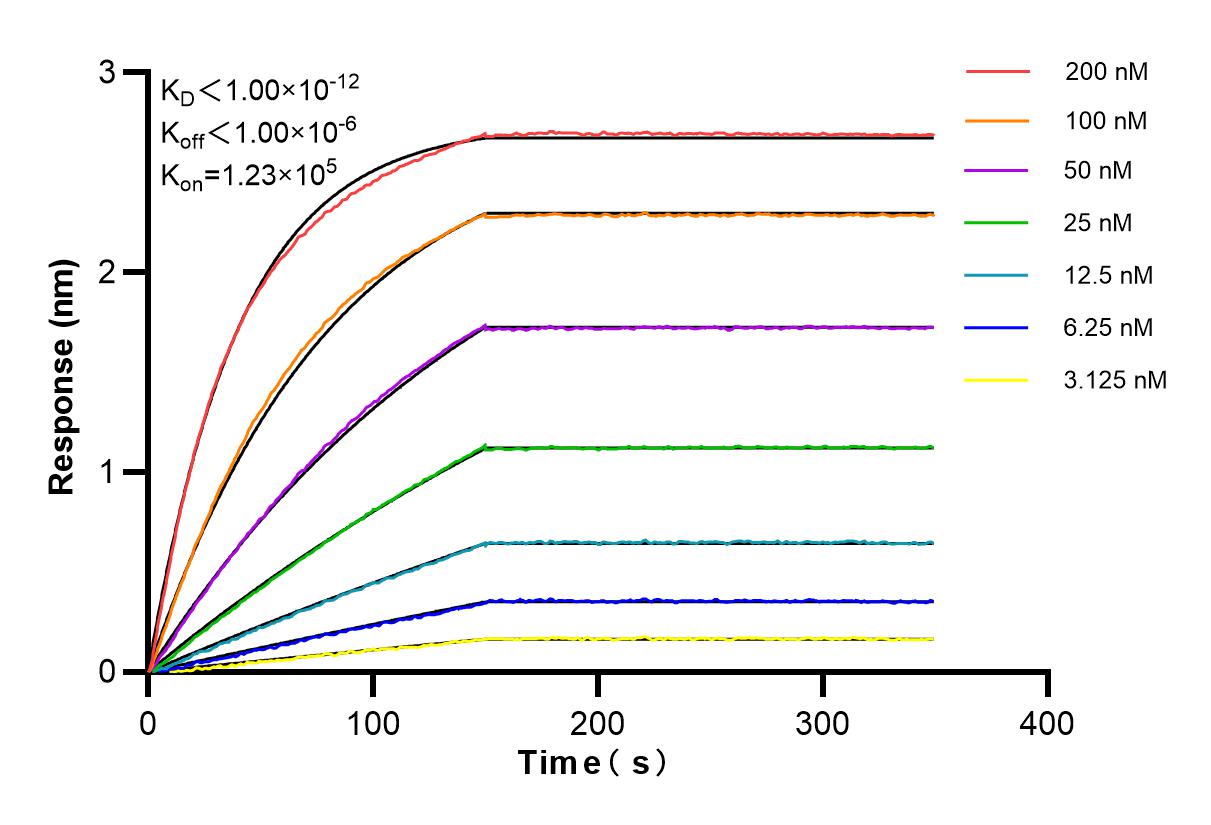 Affinity and Kinetic Characterization of 84537-1-RR