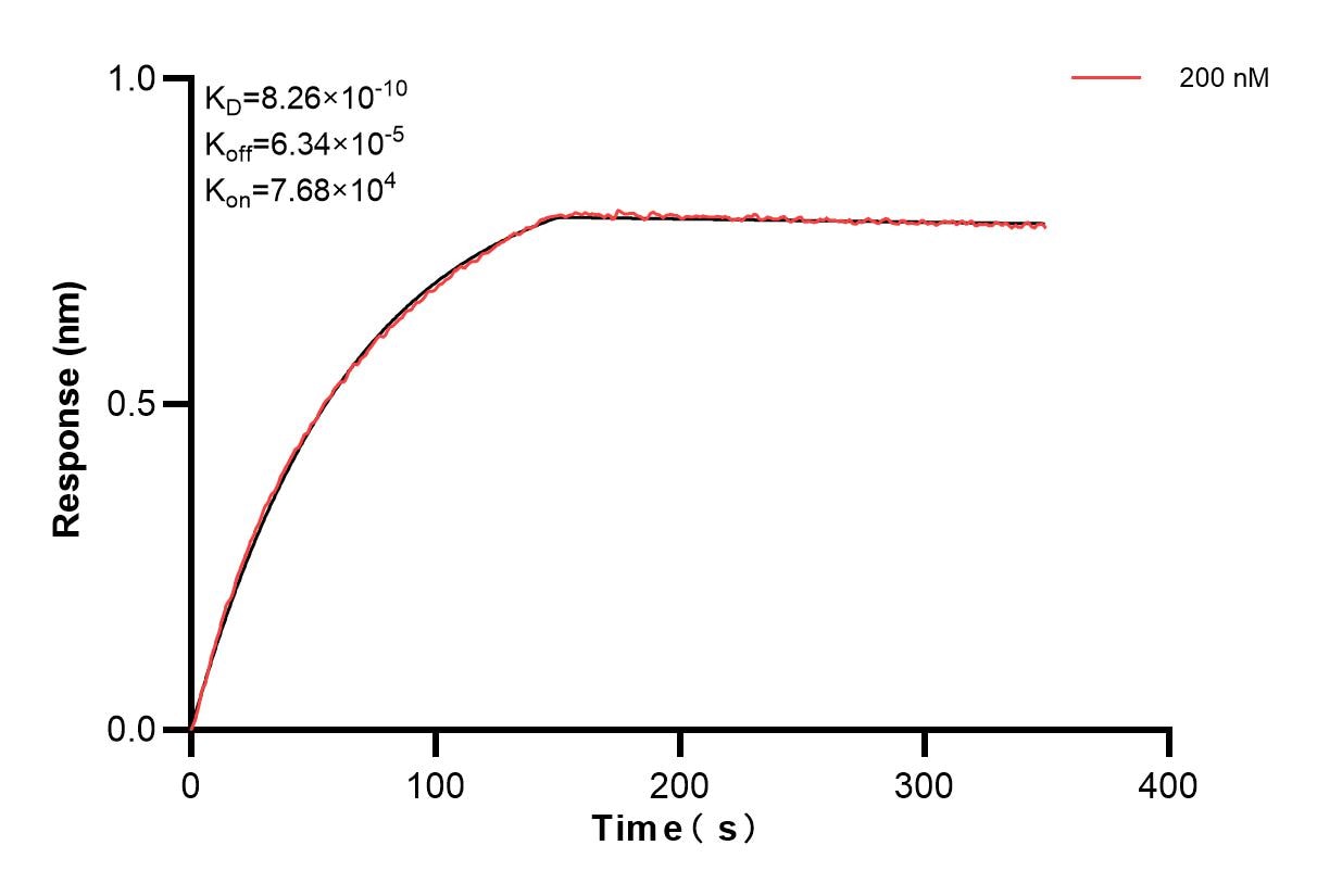 Affinity and Kinetic Characterization of 84538-2-PBS