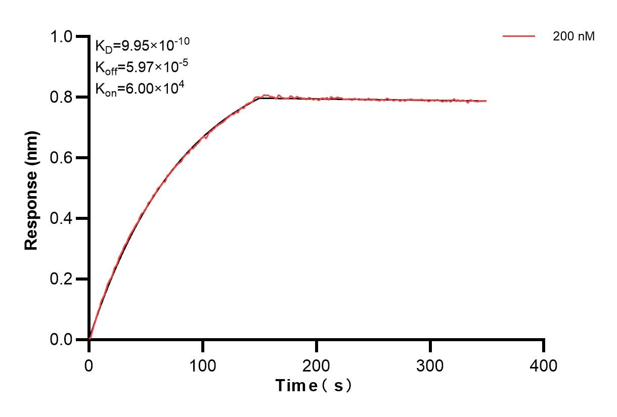Affinity and Kinetic Characterization of 84538-3-PBS