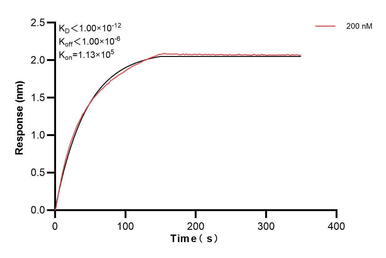 Biolayer interferometry (BLl) kinetic assay of 84540-3-PBS against Human HSL was performed. The affinity constant is below 1 pM. Affinity and Kinetic Characterization of 84540-3-PBS