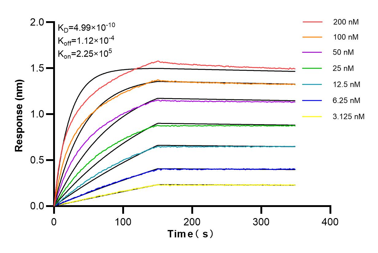 Affinity and Kinetic Characterization of 84580-4-RR