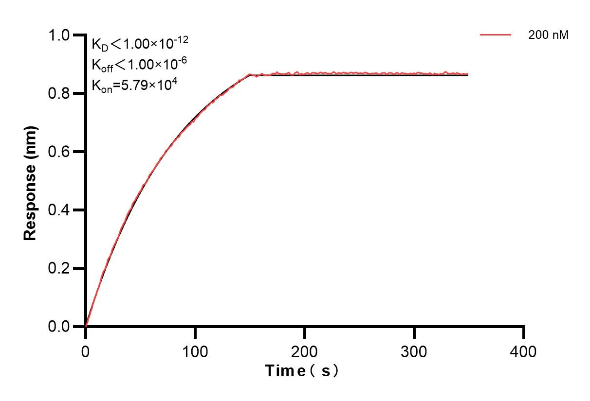 Affinity and Kinetic Characterization of 84584-4-PBS