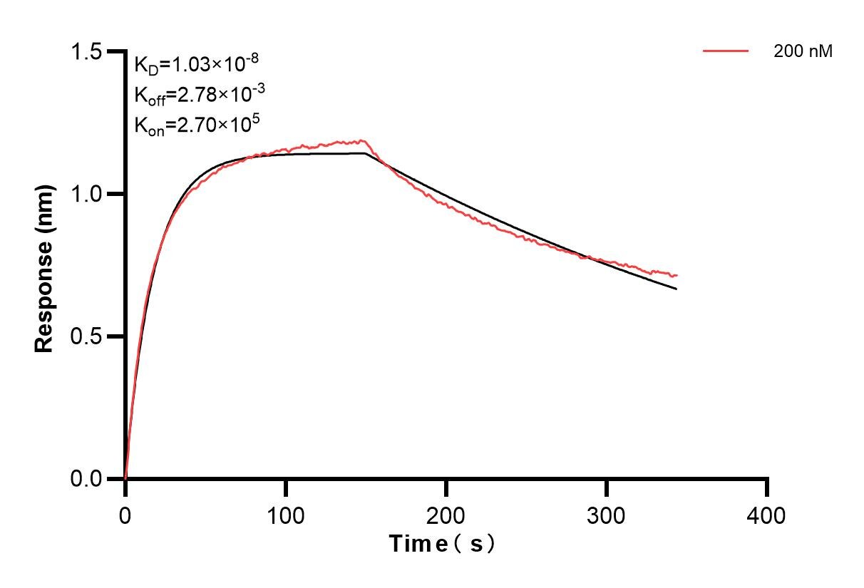 Affinity and Kinetic Characterization of 84585-3-PBS