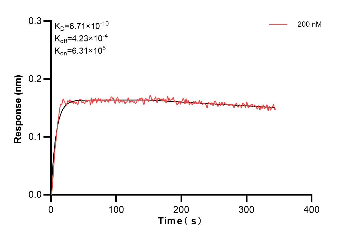 Affinity and Kinetic Characterization of 84601-1-PBS