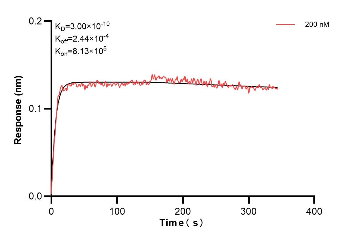 Affinity and Kinetic Characterization of 84601-2-PBS